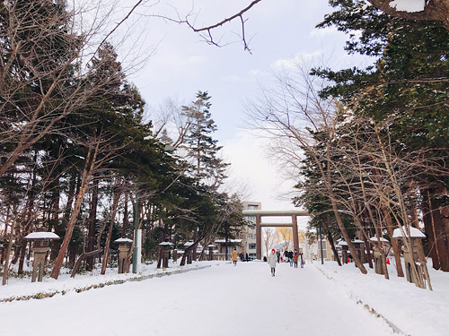 冬の北海道神宮