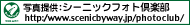 �ʐ^�񋟁F�V�[�j�b�N�t�H�g��y��