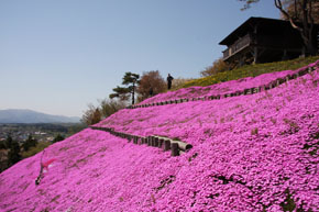 薬師山