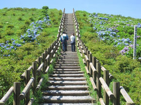 球島山展望台